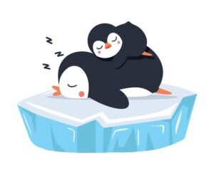 Rest Assured: Unveiling the Vital Link Between Quality Sleep and Effective Stress Management